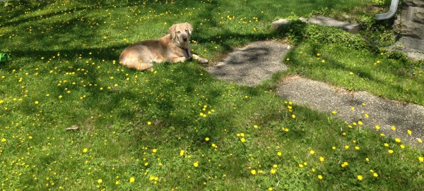 Credit: LifeLoveLyme